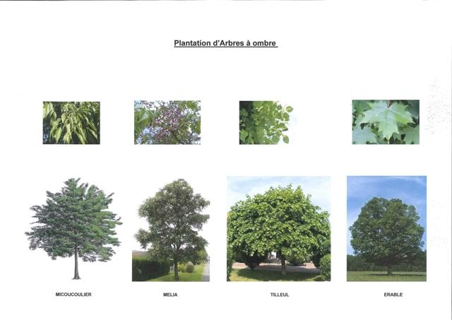 ventabren villa T4 pp avec garage attenant dans programme neuf avec accessibilité PMR 13
