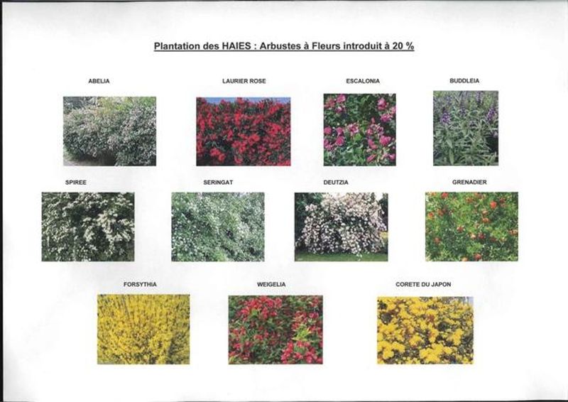 ventabren dans un programme neuf à vendre villa type 4 plein pied avec garage 13