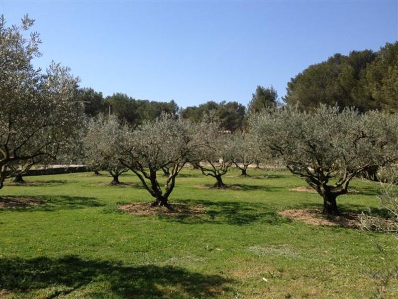 Villa  ventabren departement 13  proximite commodites secteur calme fort potentiel d amenagement