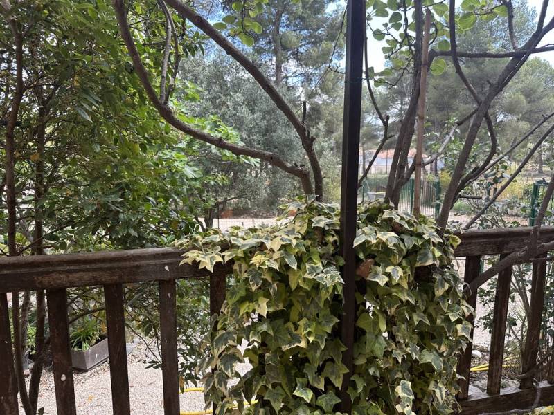 T3 à louer rognac 13340 maison plain pied 2 chambres avec jardinet